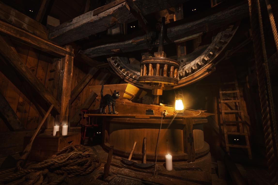 The case of the Dancing Cats