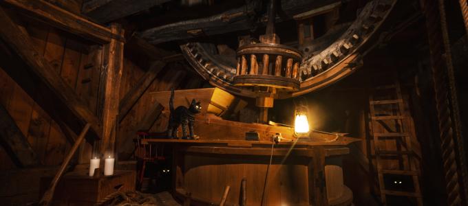 The case of the Dancing Cats